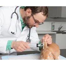 HEINE BETA 200 LED VET Diagnostic Set with rechargeable handle