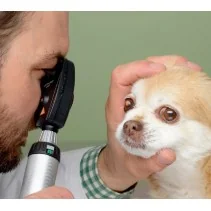 HEINE BETA 200 LED Veterinary Diagnostic Set