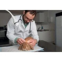 HEINE EL 3 LED Examination Light for table-top mounting